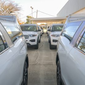 DSC_0024.MOV.00_00_43_12.Still001_3000